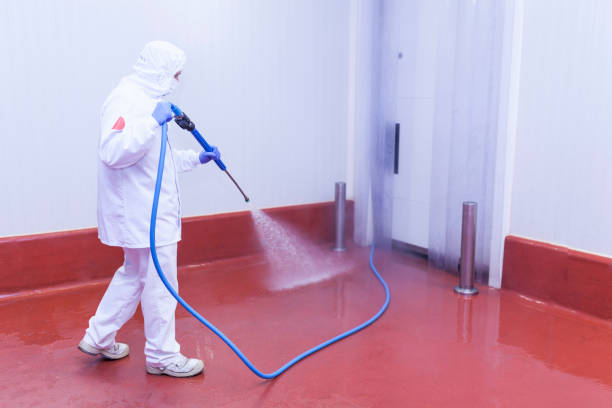 Best Sign and Awning Cleaning  in Live Oak, FL