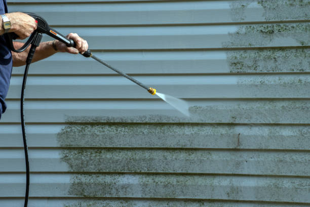 Best Animal Enclosure Cleaning  in Live Oak, FL