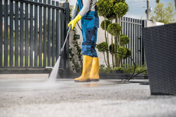 Best Dumpster Area Cleaning  in Live Oak, FL